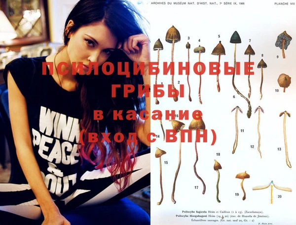 apvp Касимов