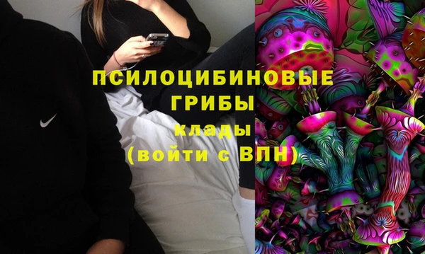 тгк Карпинск