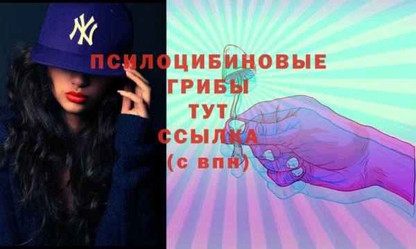 крисы Киреевск
