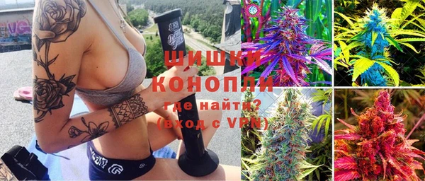 стафф Покачи