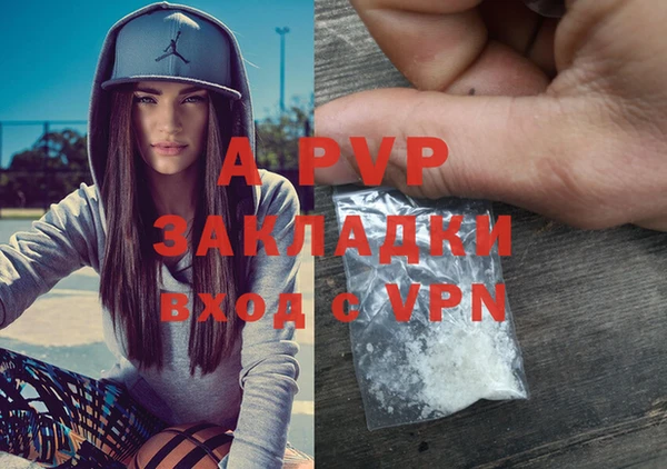 стафф Покачи