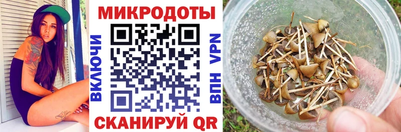 нарко площадка какой сайт  Княгинино  Галлюциногенные грибы Cubensis 